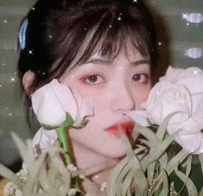 下载二维码